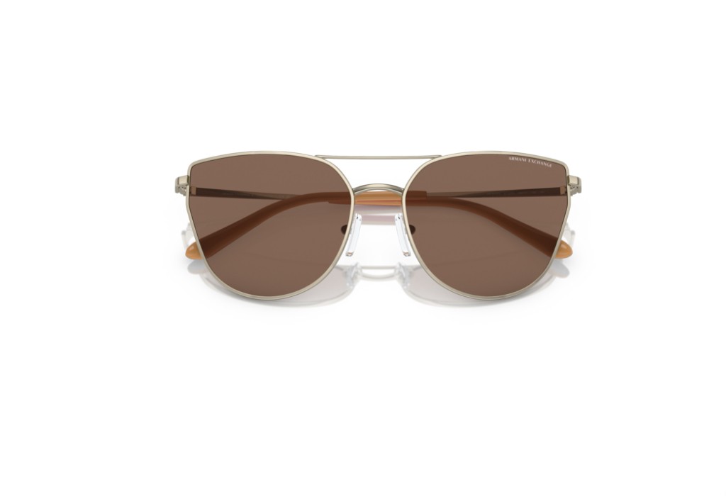 Sunglasses Armani Exchange AX 2045S - AX2045S/611073/5617/140