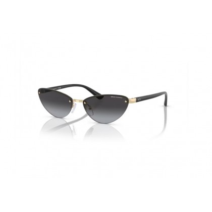 Sunglasses Armani Exchange AX 2049S