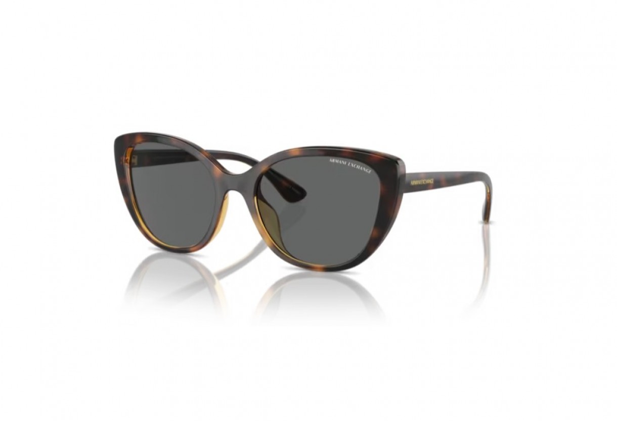 Sunglasses Armani Exchange AX 4111SU