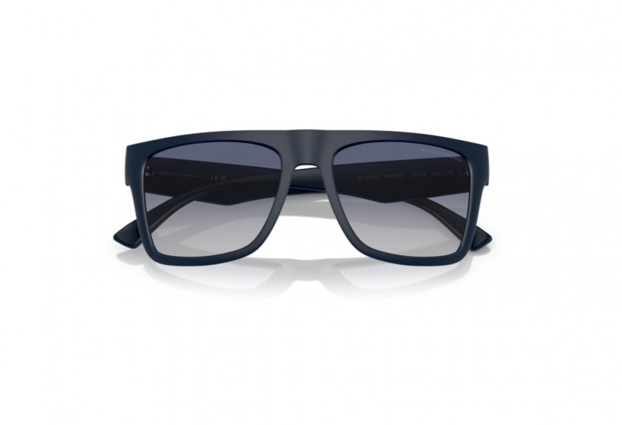 Sunglasses Armani Exchange AX 4113S