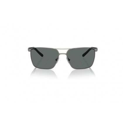 Sunglasses Arnette AN 3091 Barracas Polarized