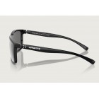 Sunglasses Arnette AN 4251 Stripe Polarized