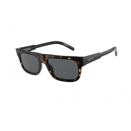 Sunglasses Arnette AN 4278 Gothboy