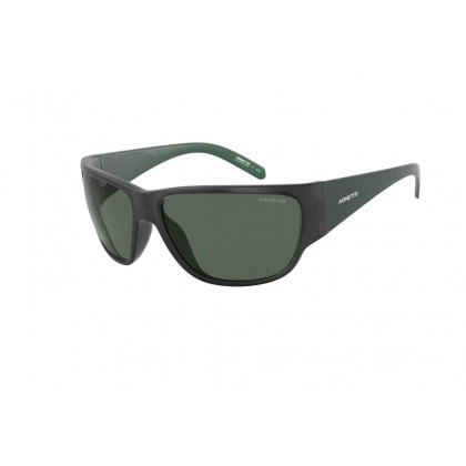 Sunglasses Arnette AN 4281 Wolflight