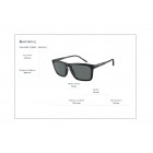 Sunglasses Arnette AN 4283 Shyguy Polarized