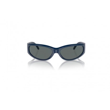 Γυαλιά ηλίου Arnette AN 4302 Catfish Polarized