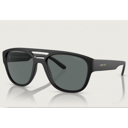 Sunglasses Arnette AN 4327 Mew2 Polarized