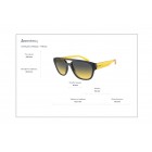 Sunglasses Arnette AN 4327 Mew2