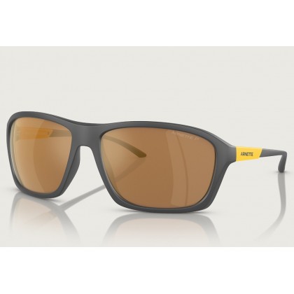 Γυαλιά ηλίου Arnette AN 4329 Nitewish Polarized