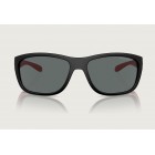 Sunglasses Arnette AN 4337  Floresta Polarized