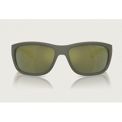 Sunglasses Arnette AN 4337  Floresta