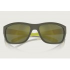 Sunglasses Arnette AN 4337  Floresta