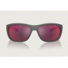 Sunglasses Arnette AN 4337  Floresta