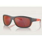 Sunglasses Arnette AN 4337  Floresta