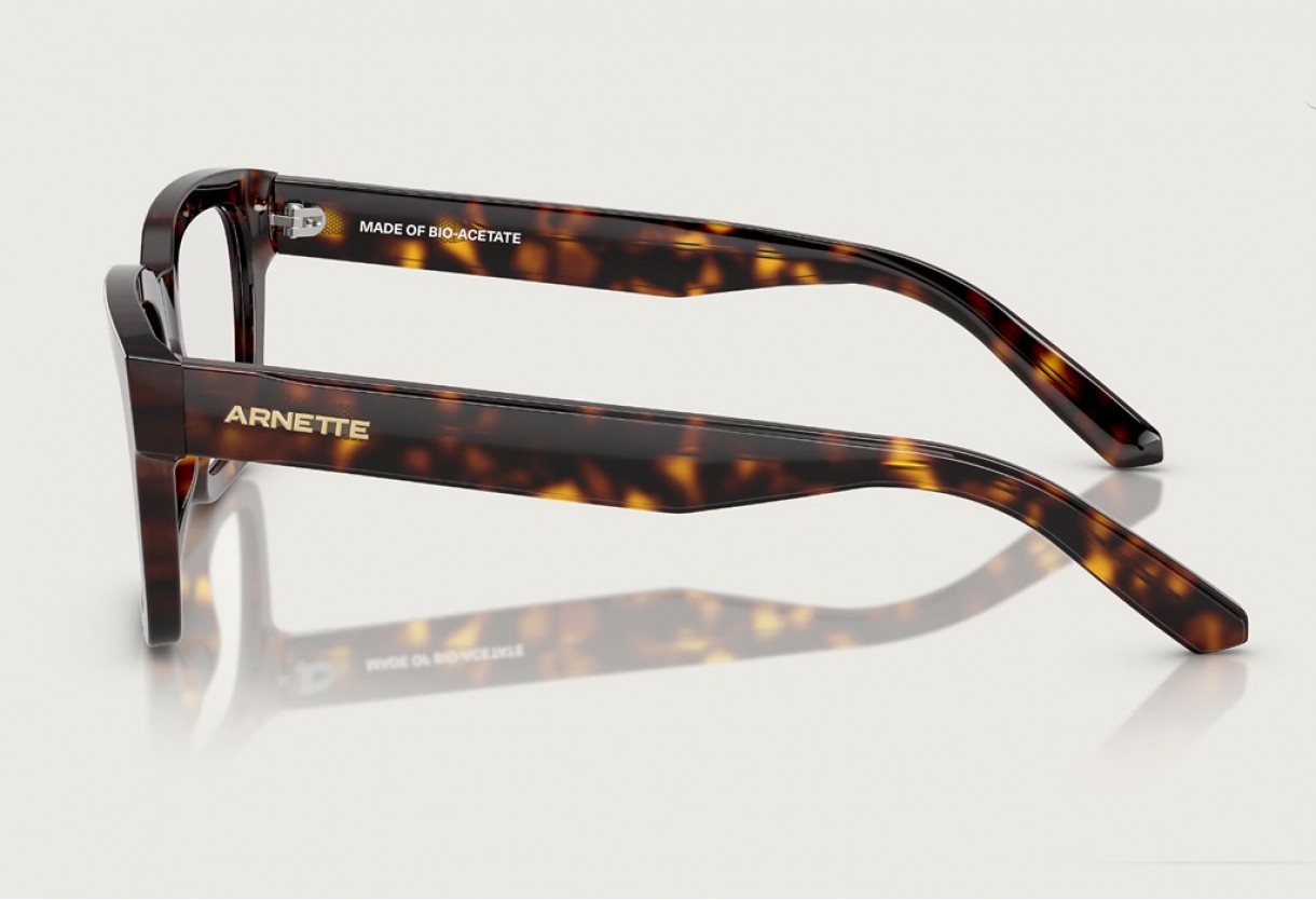 Eyeglasses Arnette AN 7228 Cold Heart