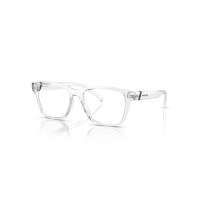 Eyeglasses Arnette AN 7229 Telmo