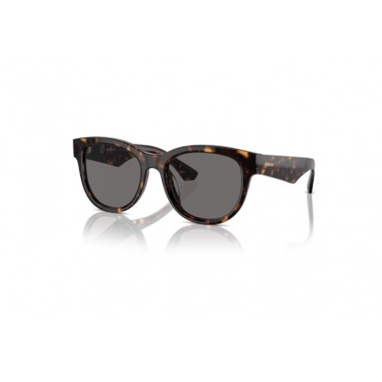 Sunglasses Burberry B 4432U Polarized