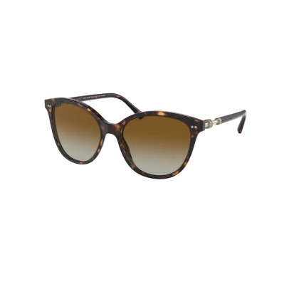 Sunglasses Bulgary BV 8235 Polarized