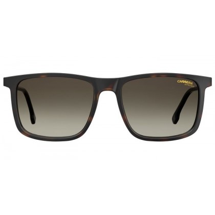 Sunglasses Carrera 231/S 