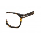 Eyeglasses Carrera 331