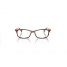 Eyeglasses Coach HC 6110