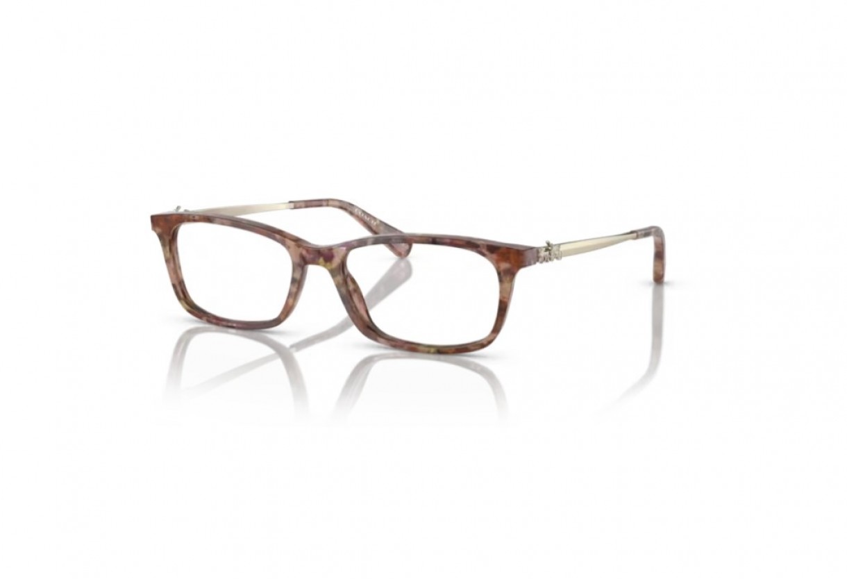 Eyeglasses Coach HC 6110