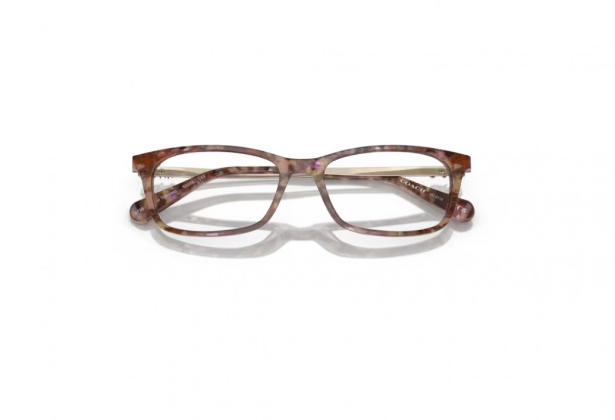 Eyeglasses Coach HC 6110