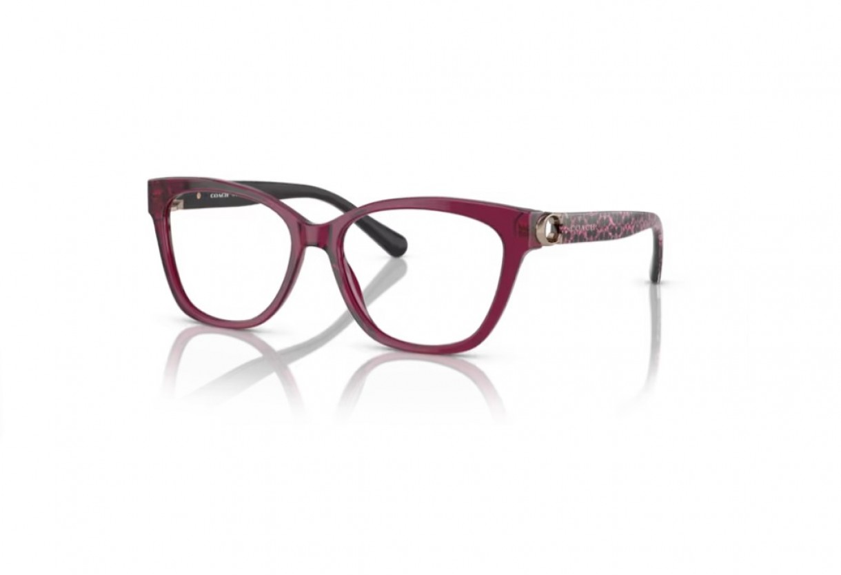 Eyeglasses Coach HC 6120