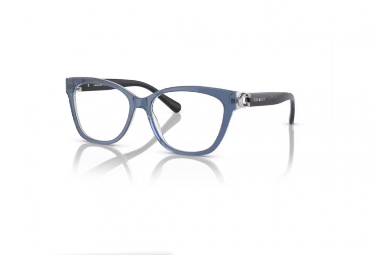 Eyeglasses Coach HC 6120