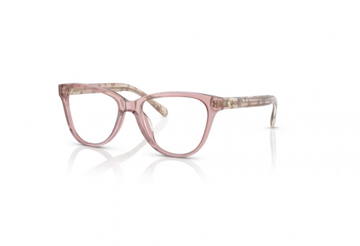 Eyeglasses Coach HC 6202U