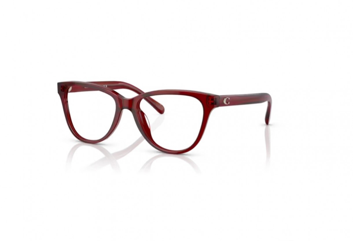 Eyeglasses Coach HC 6202U