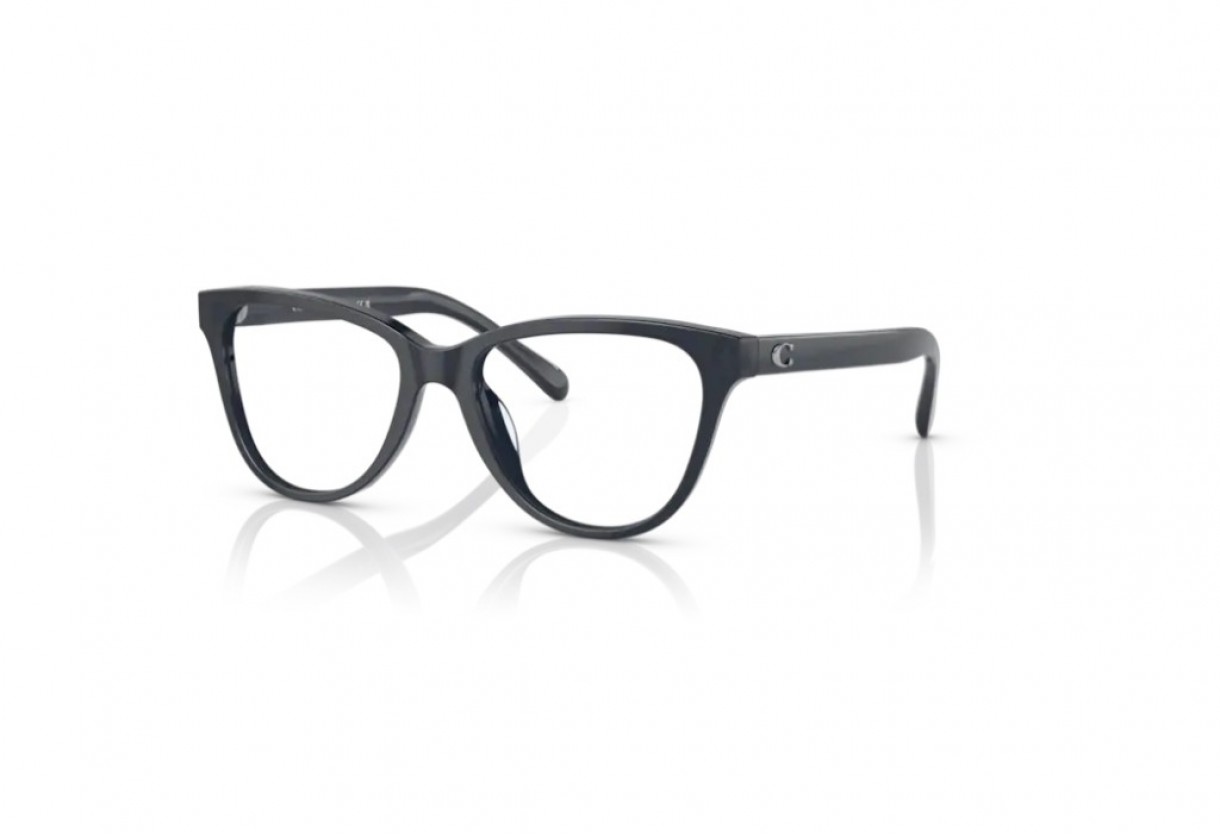 Eyeglasses Coach HC 6202U