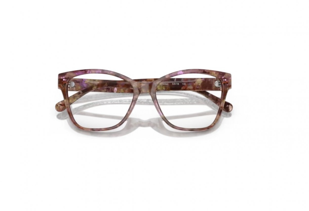 Eyeglasses Coach HC 6207U