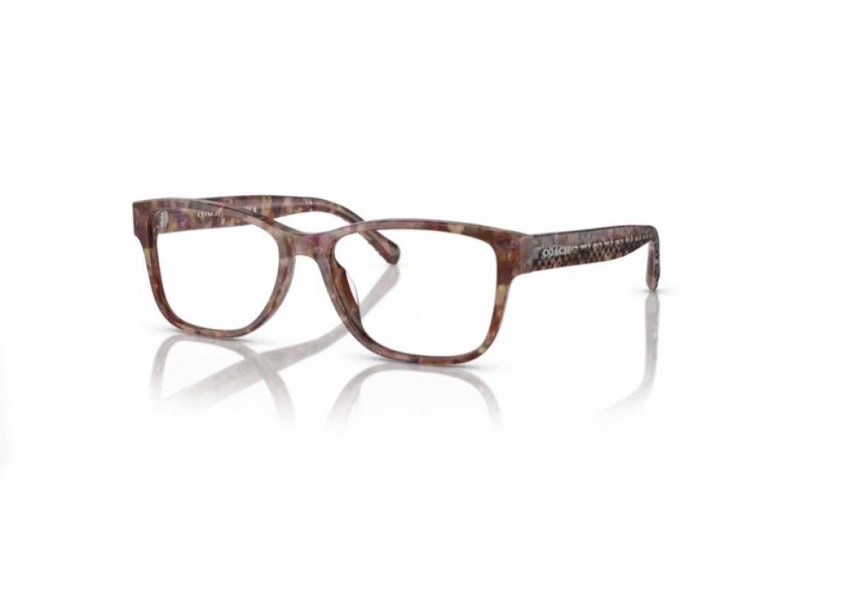 Eyeglasses Coach HC 6208U