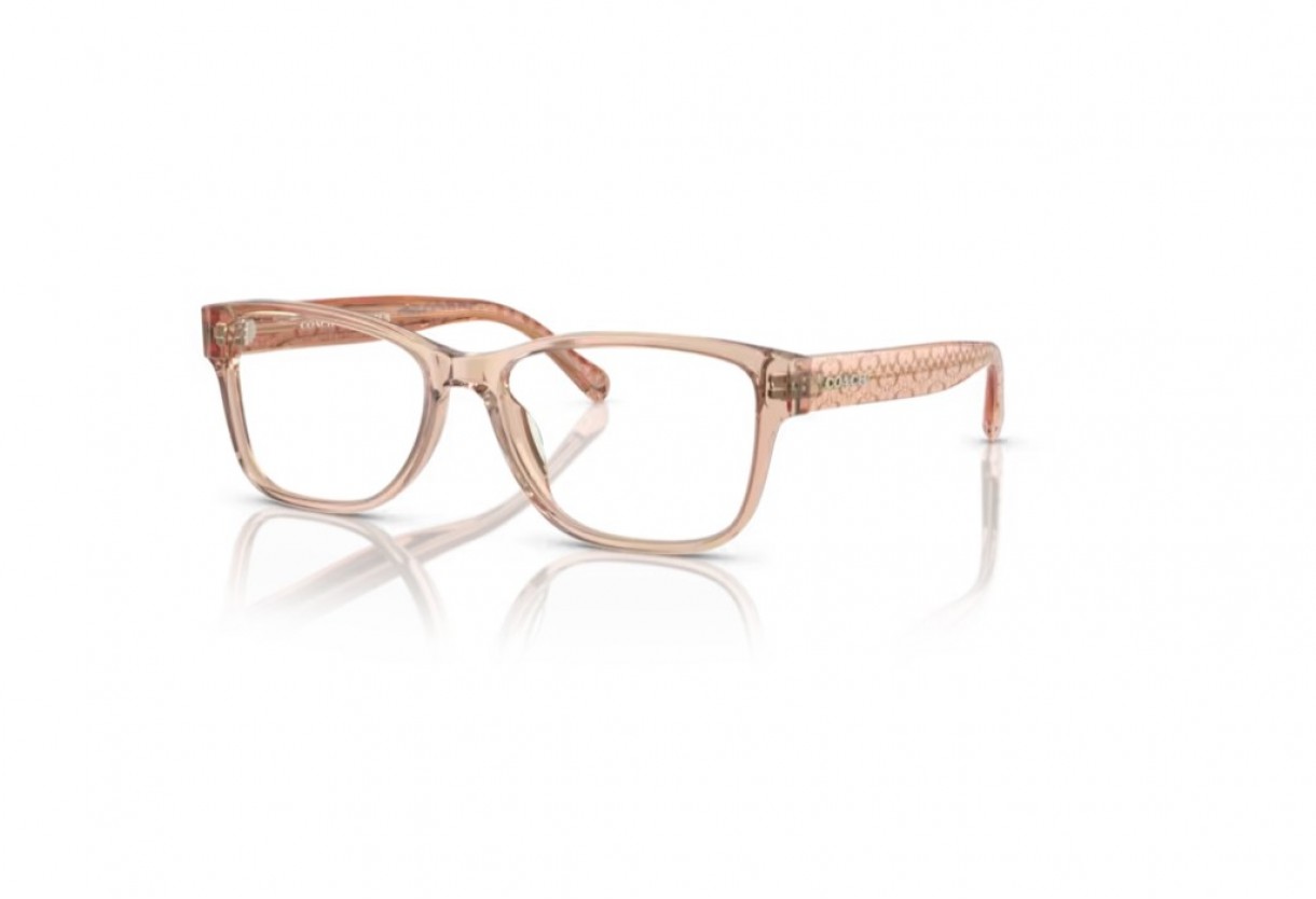 Eyeglasses Coach HC 6208U