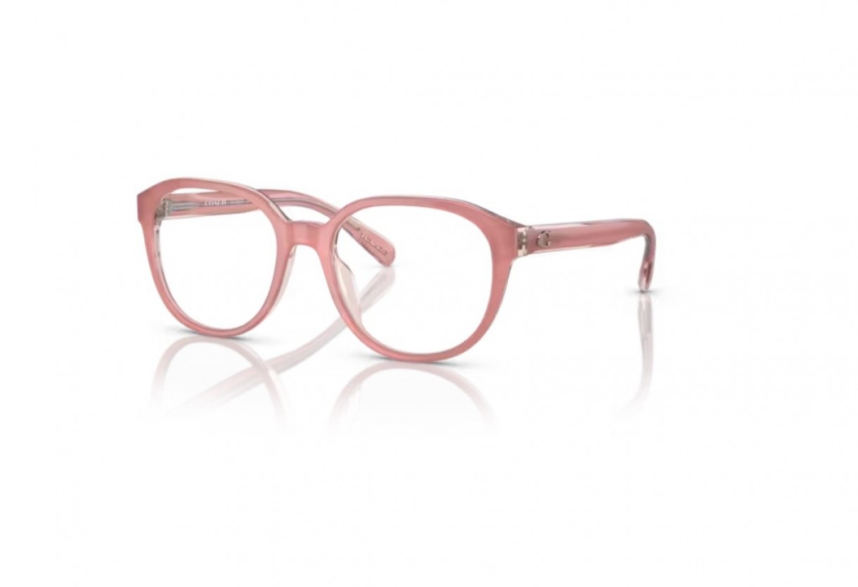 Eyeglasses Coach HC 6209U