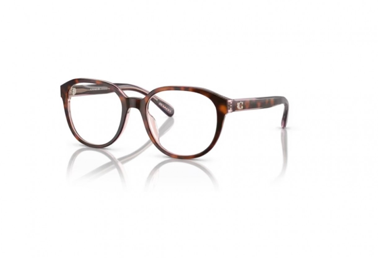 Eyeglasses Coach HC 6209U