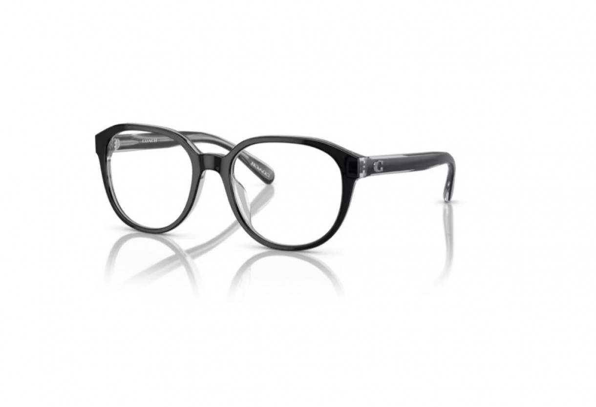 Eyeglasses Coach HC 6209U