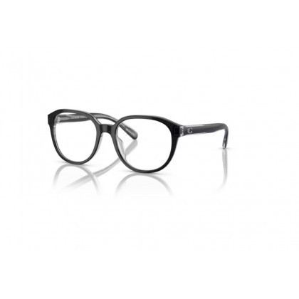 Eyeglasses Coach HC 6209U