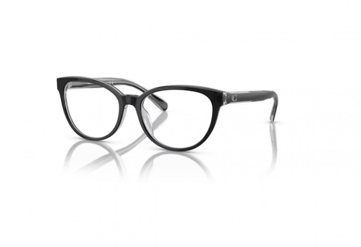 Eyeglasses Coach HC 6210U