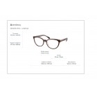 Eyeglasses Coach HC 6210U