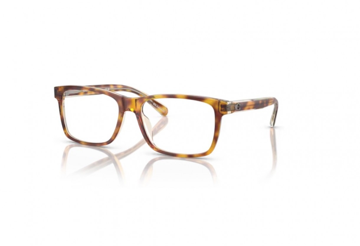 Eyeglasses Coach HC 6213U