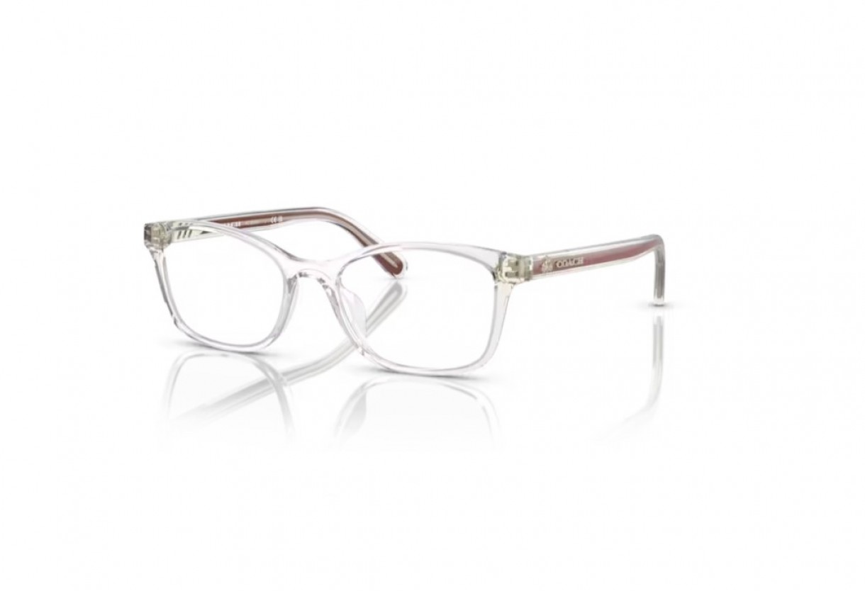 Eyeglasses Coach HC 6216U