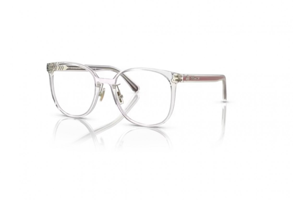 Eyeglasses Coach HC 6217