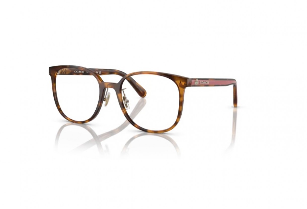 Eyeglasses Coach HC 6217