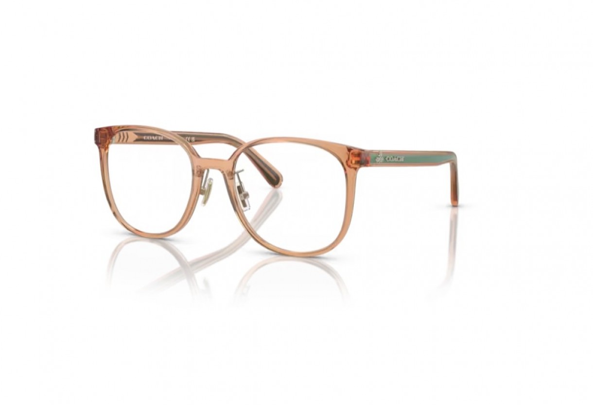 Eyeglasses Coach HC 6217