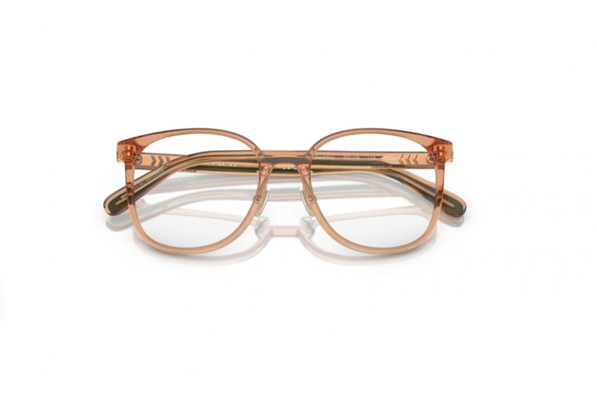 Eyeglasses Coach HC 6217