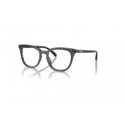 Eyeglasses Coach HC 6222U