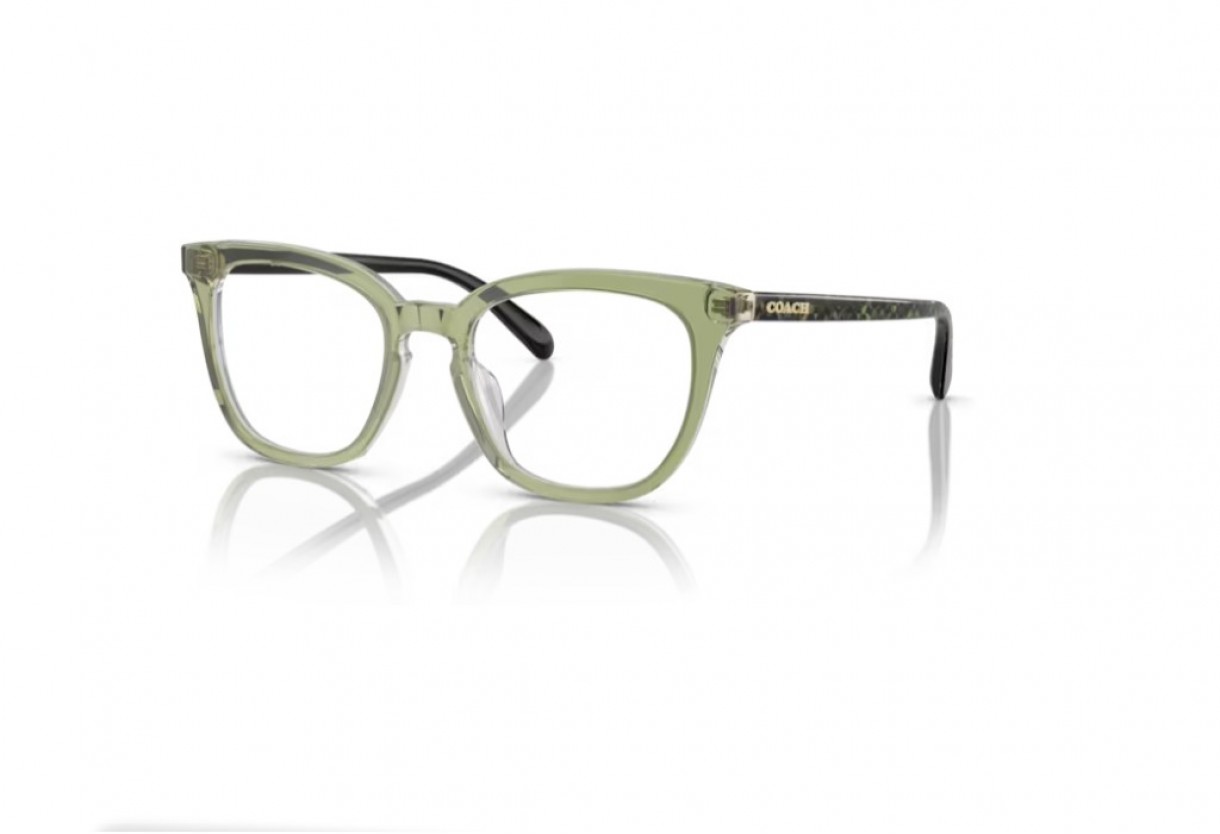 Eyeglasses Coach HC 6222U