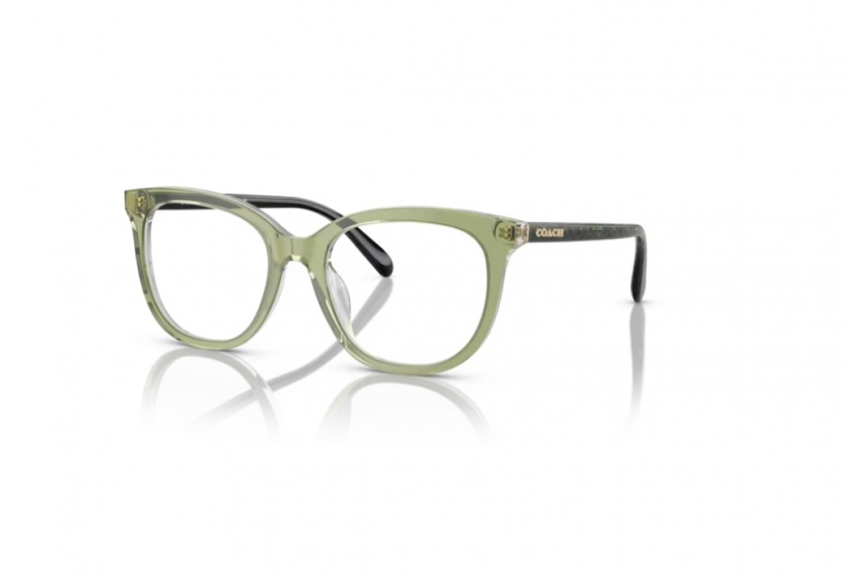 Eyeglasses Coach HC 6223U